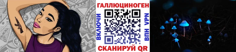 Купить  Крым  Галлюциногенные грибы GOLDEN TEACHER 